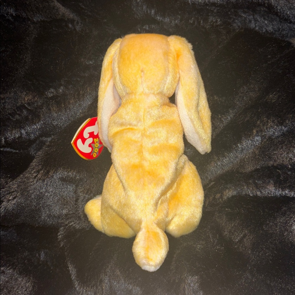 Grace the Praying Rabbit - Picture 3 of 6